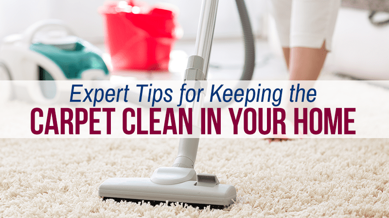 Carpet Cleaning Tips Graphic
