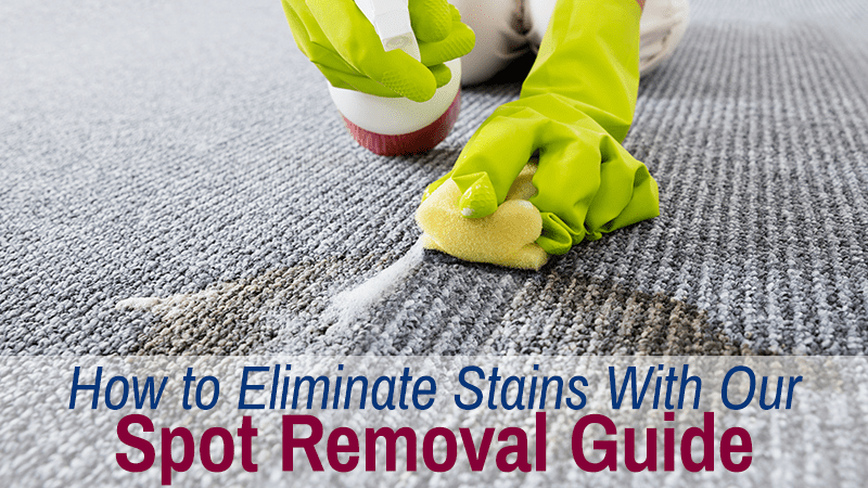 Spot Removal Guide Graphic