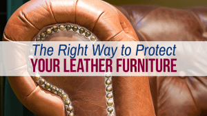 Protect Leather Furniture Graphic
