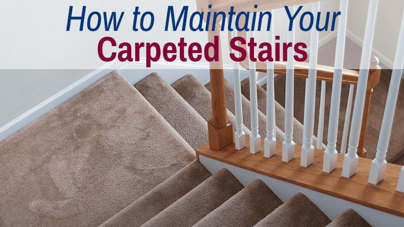Carpeted Stairs Graphic