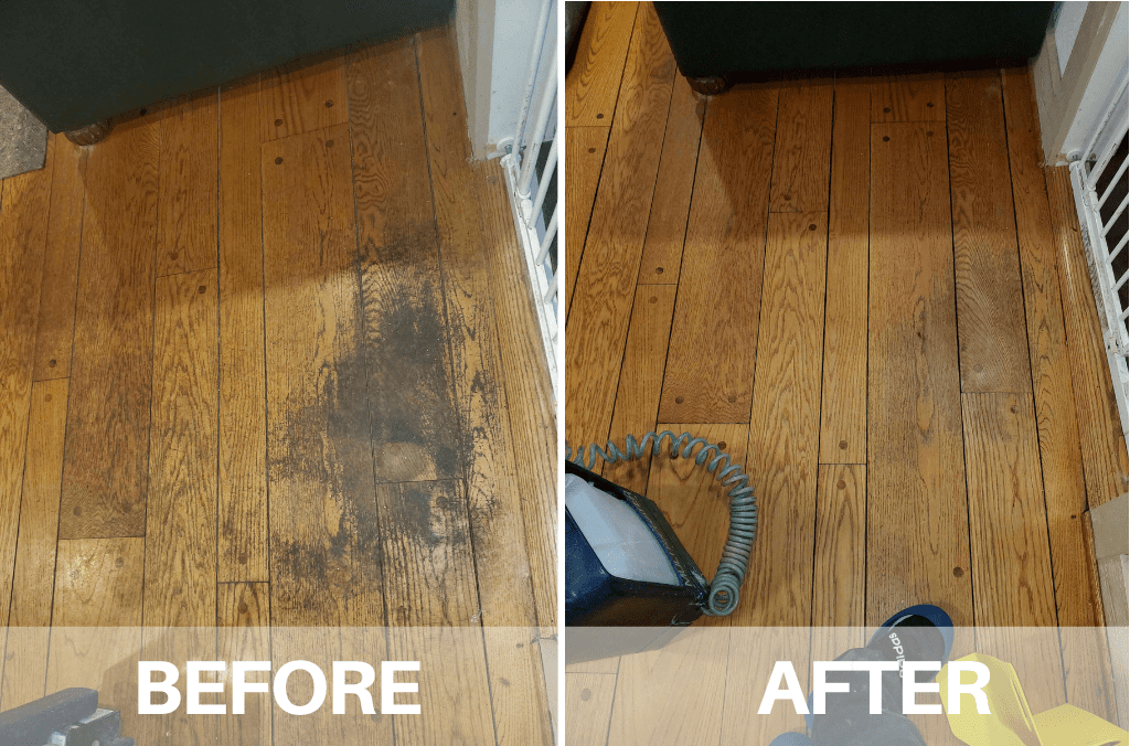 How to Clean Hardwood Floors for a Polished Look