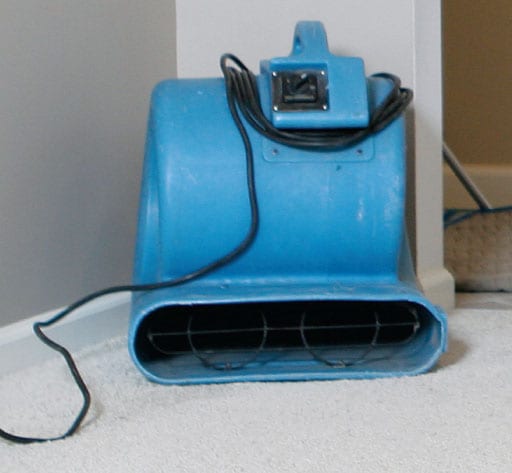 Carpet Cleaning Dryer