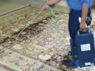 Professional Rug Cleaning