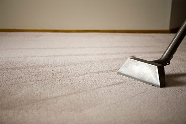 How Dry Foam Carpet Cleaning Works, Area Rugs