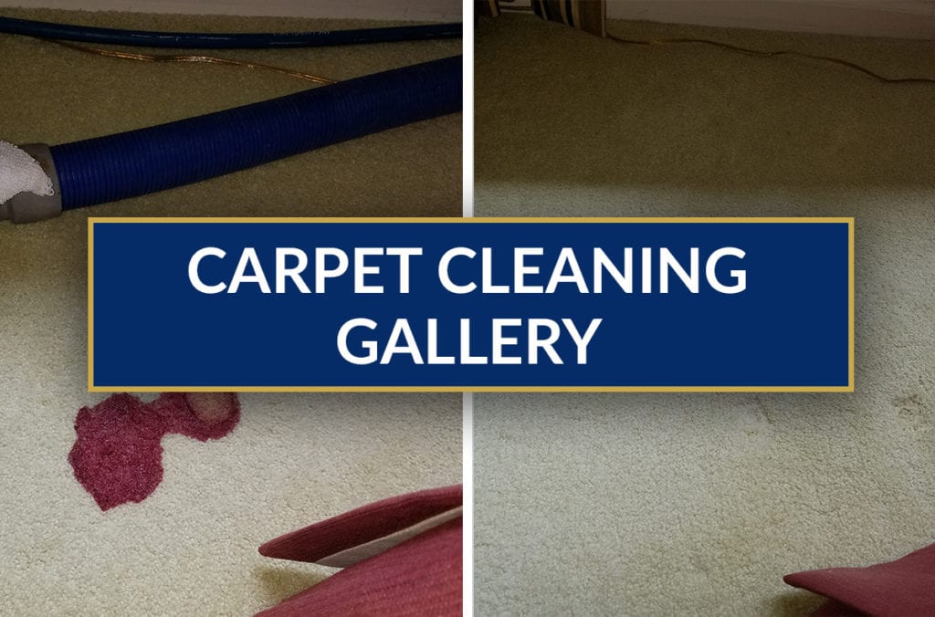 Carpet Cleaning Gallery