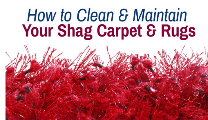 shag carpet cleaning graphic