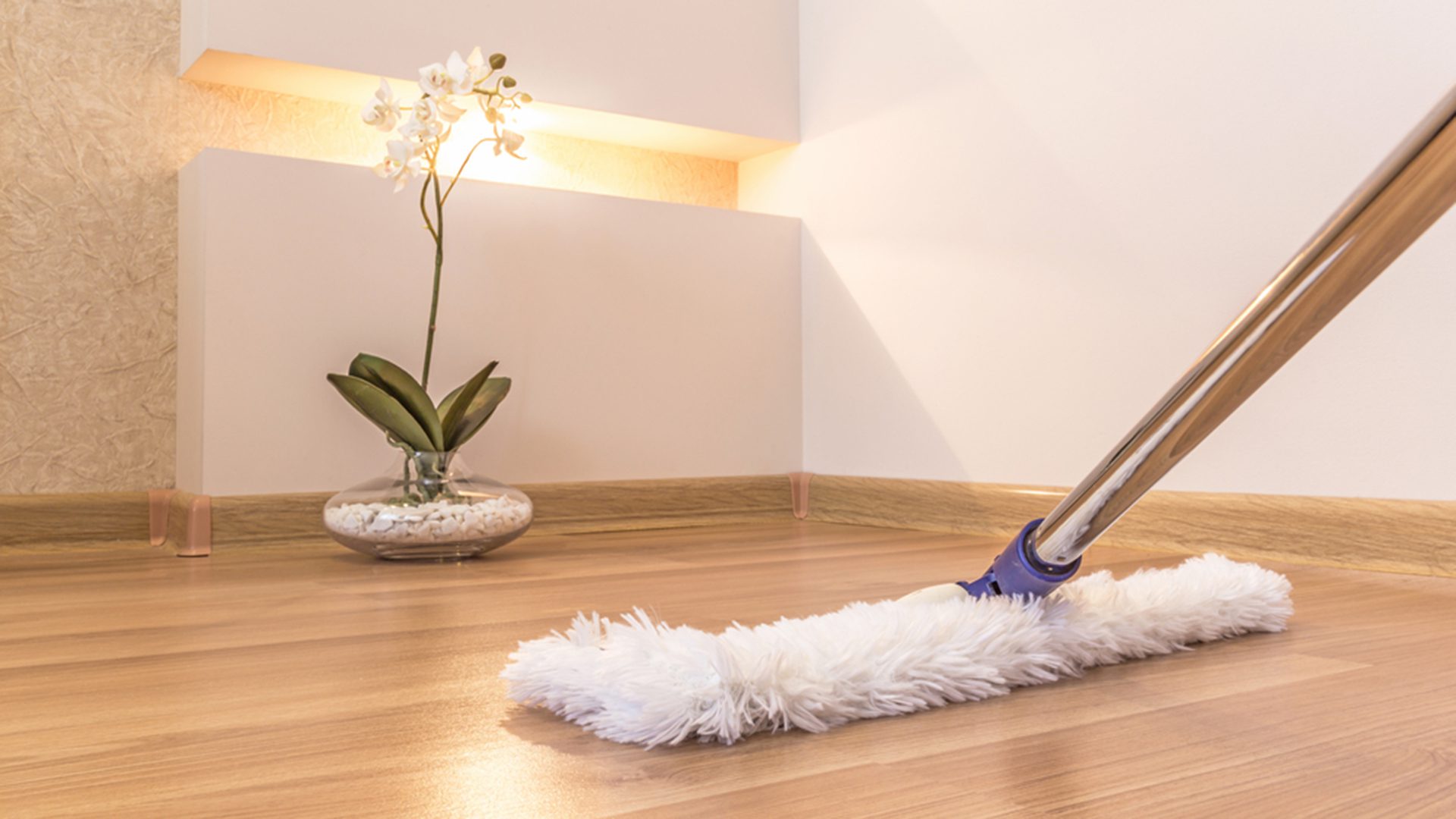 The 5 Best Ways to Clean Hardwood Floors!