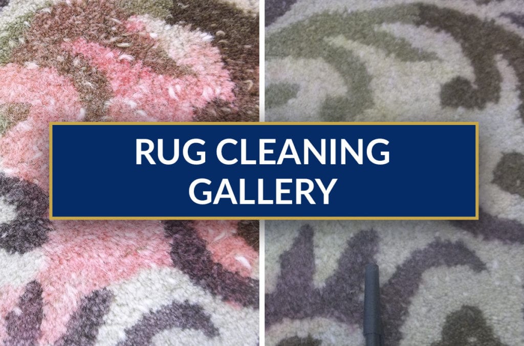 Rug Cleaning Gallery